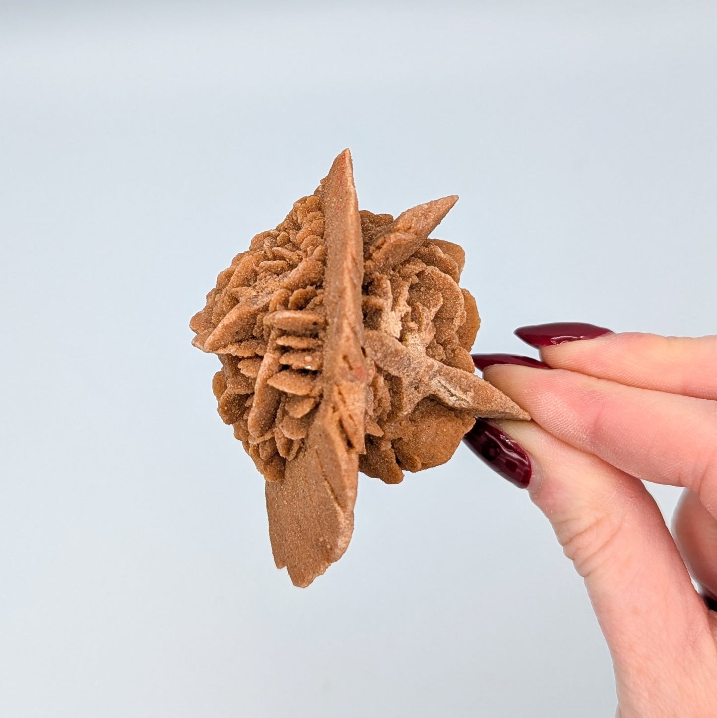 Baryte Desert Rose B