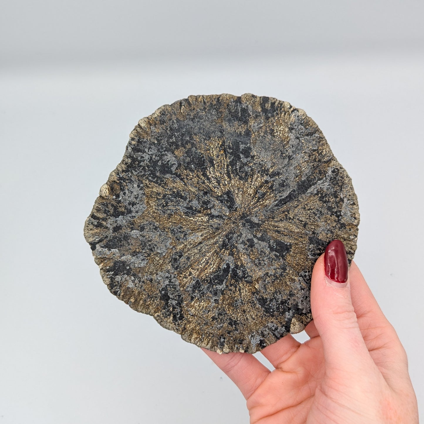 Pyrite Sun M