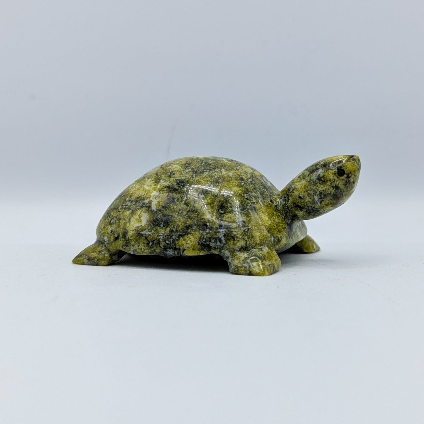 Serpentine Turtle Carving