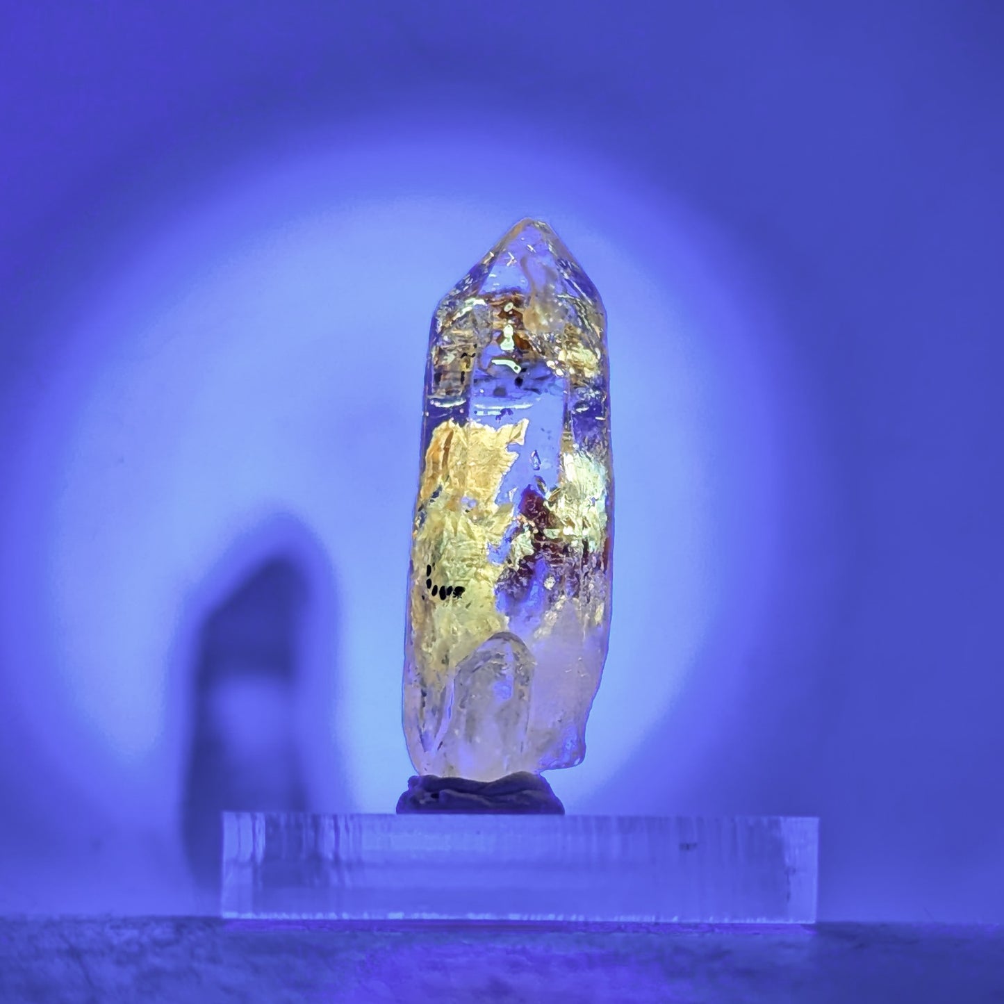 Firefly Petroleum Quartz A