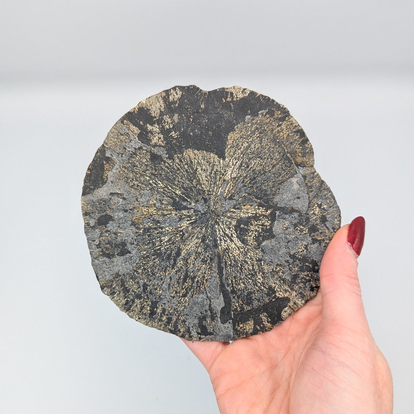 Pyrite Sun P