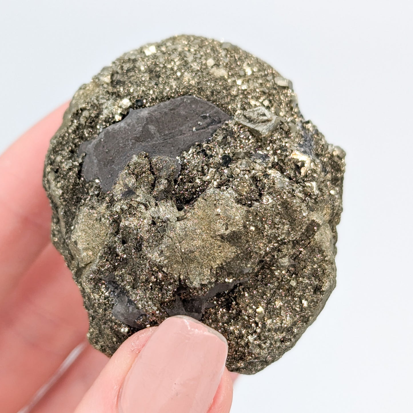 Pyrite Nodule B