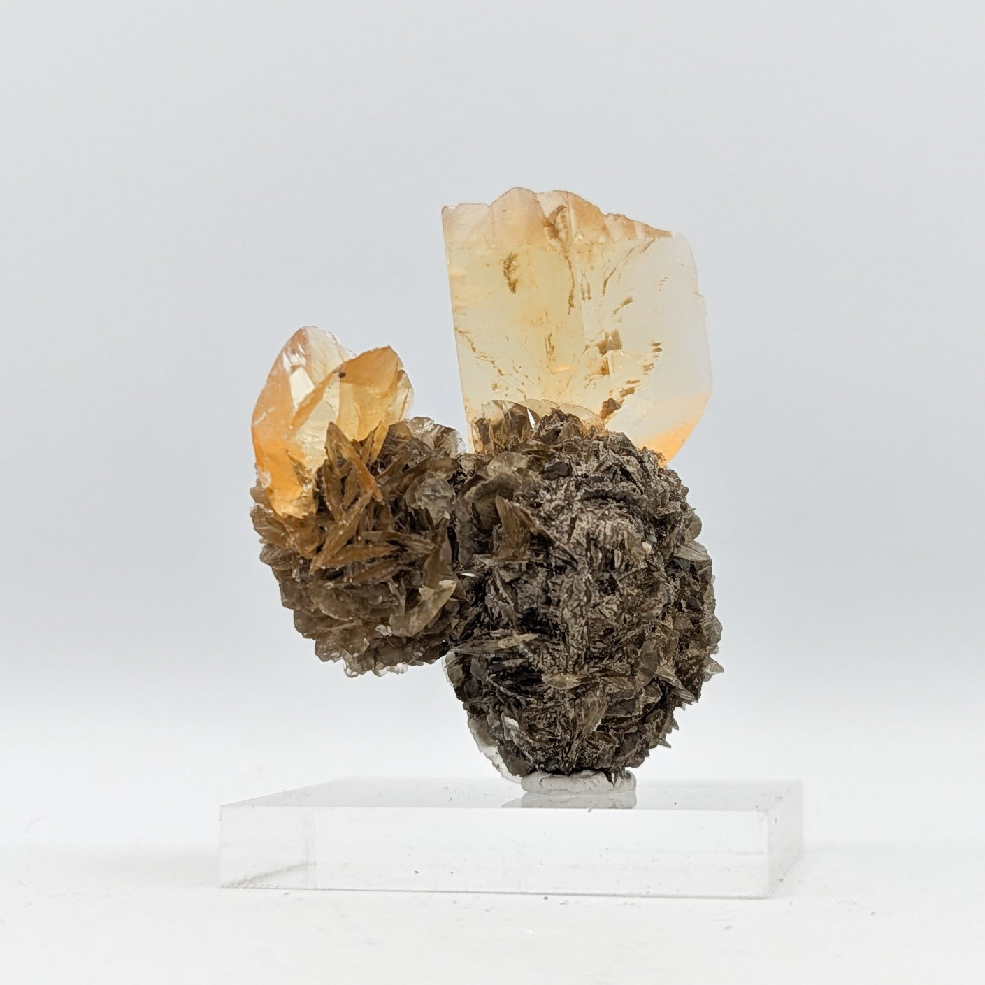 Gypsum Selenite Fluorescent E