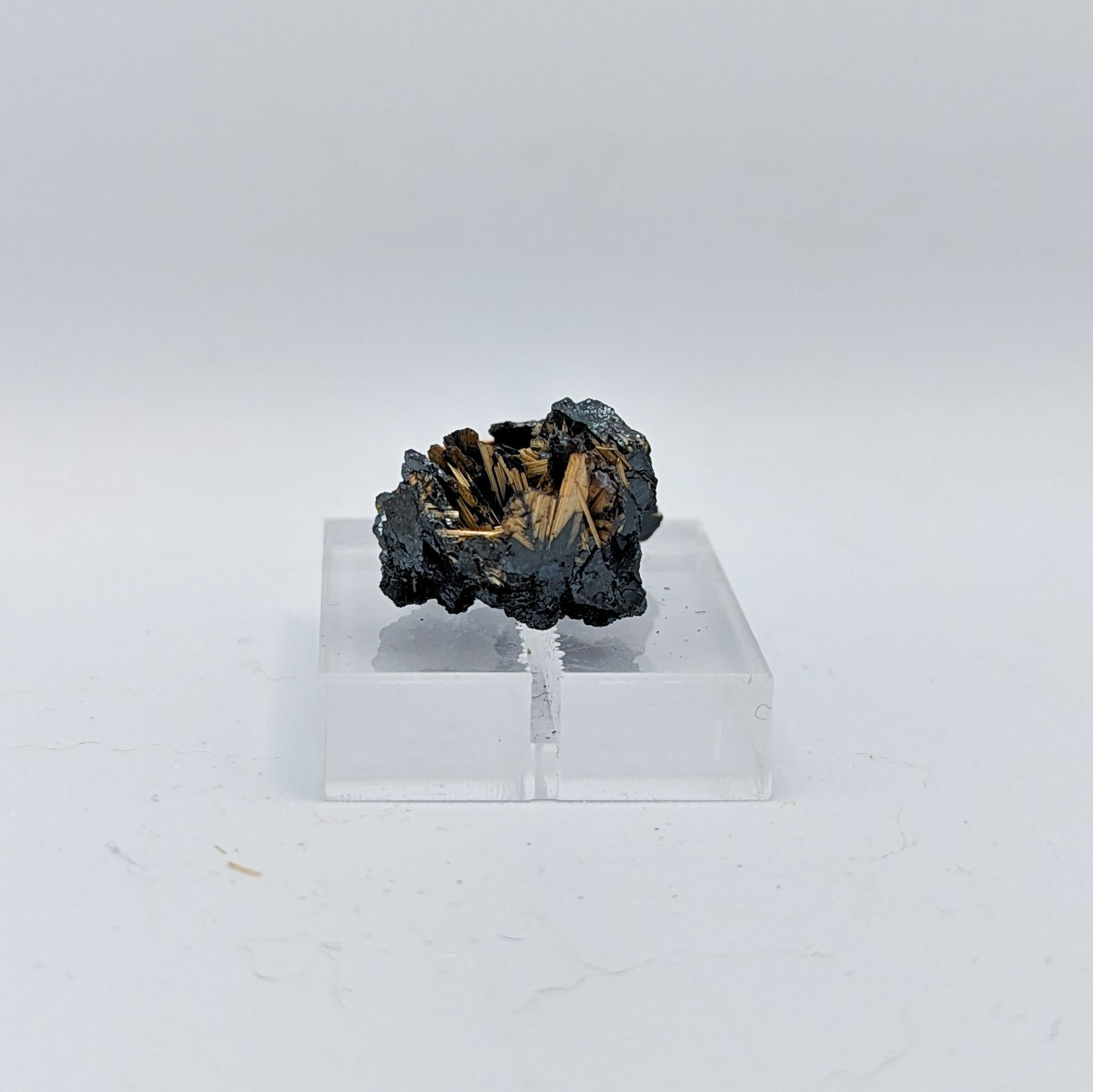 Golden Rutile on Hematite C