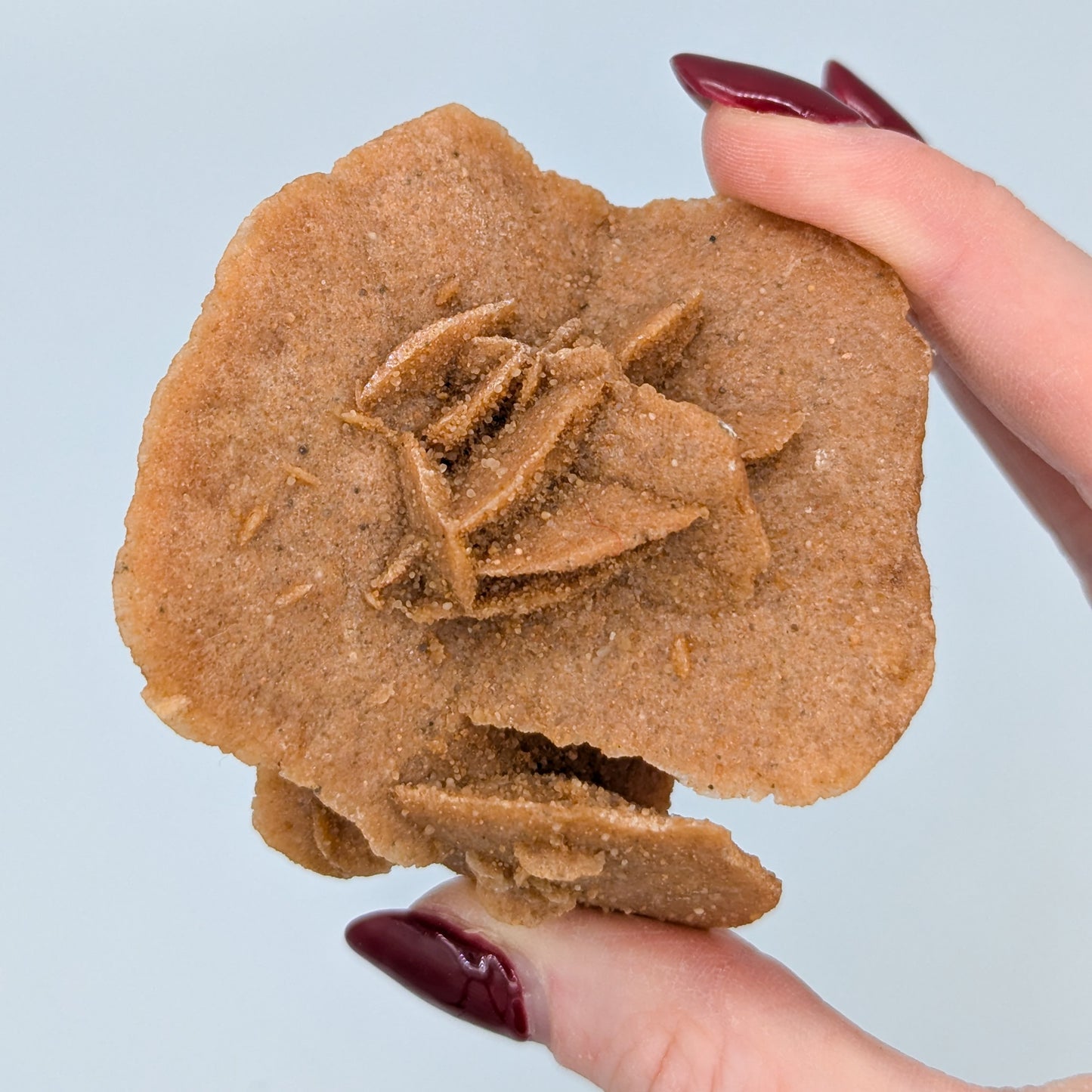 Baryte Desert Rose C