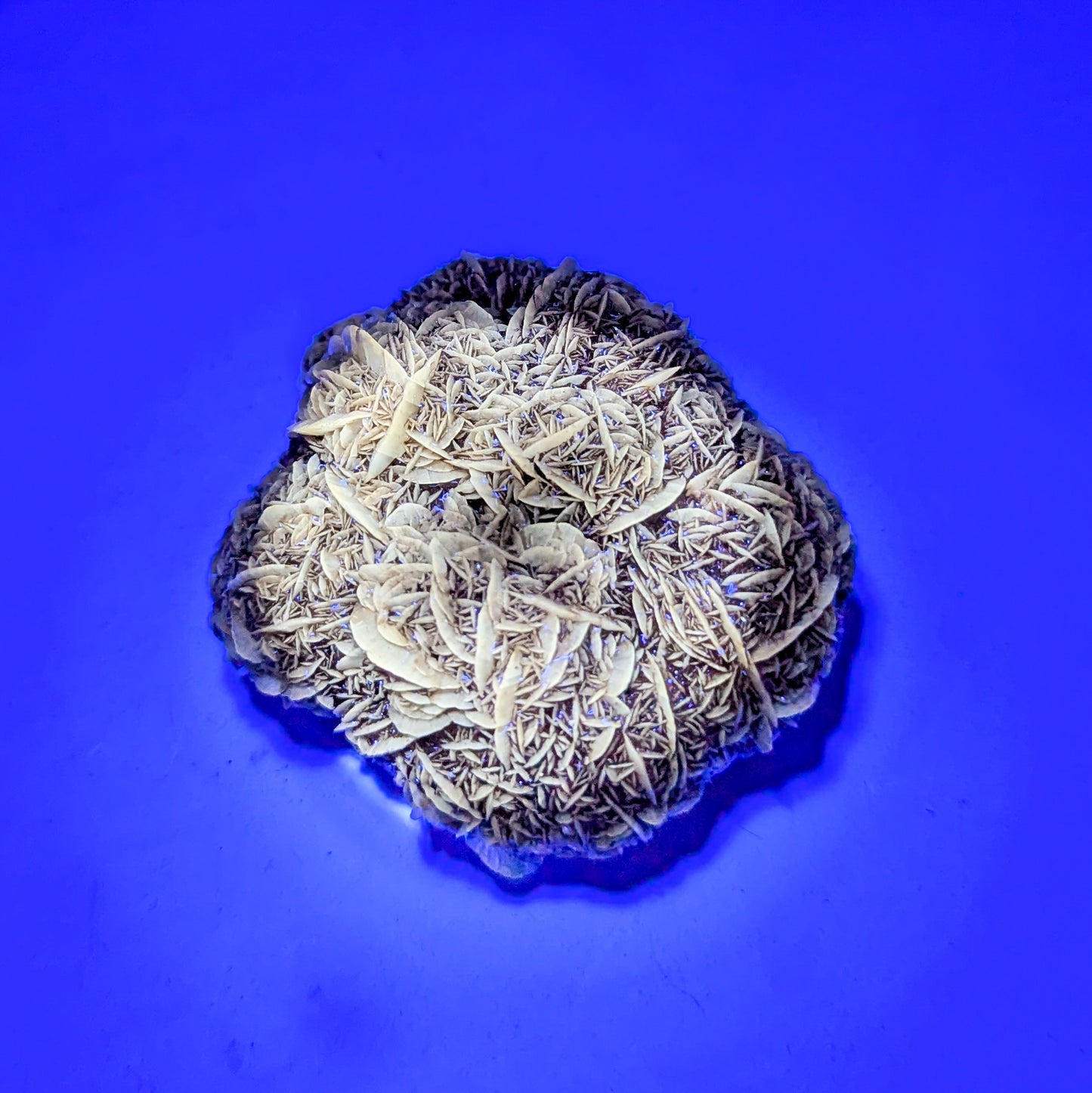 Gypsum Selenite Fluorescent C