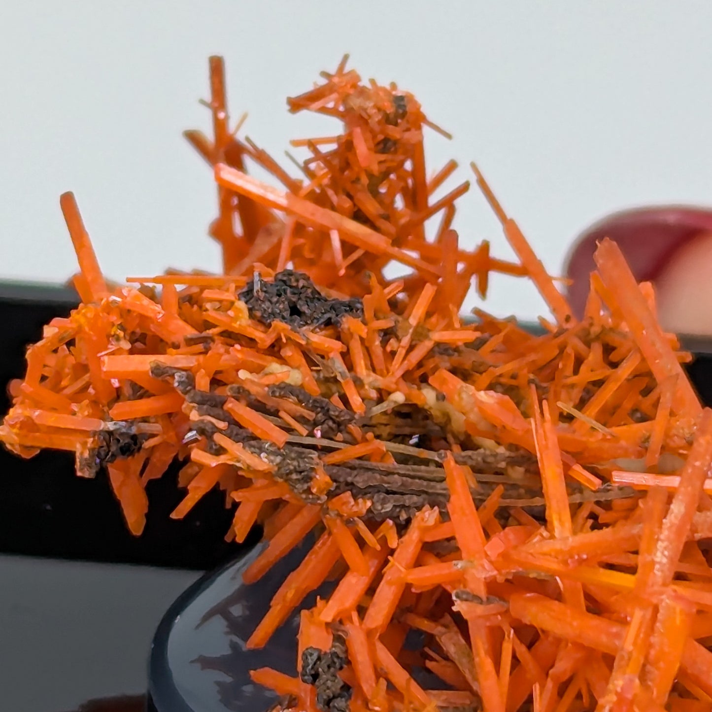 Crocoite Specimen C