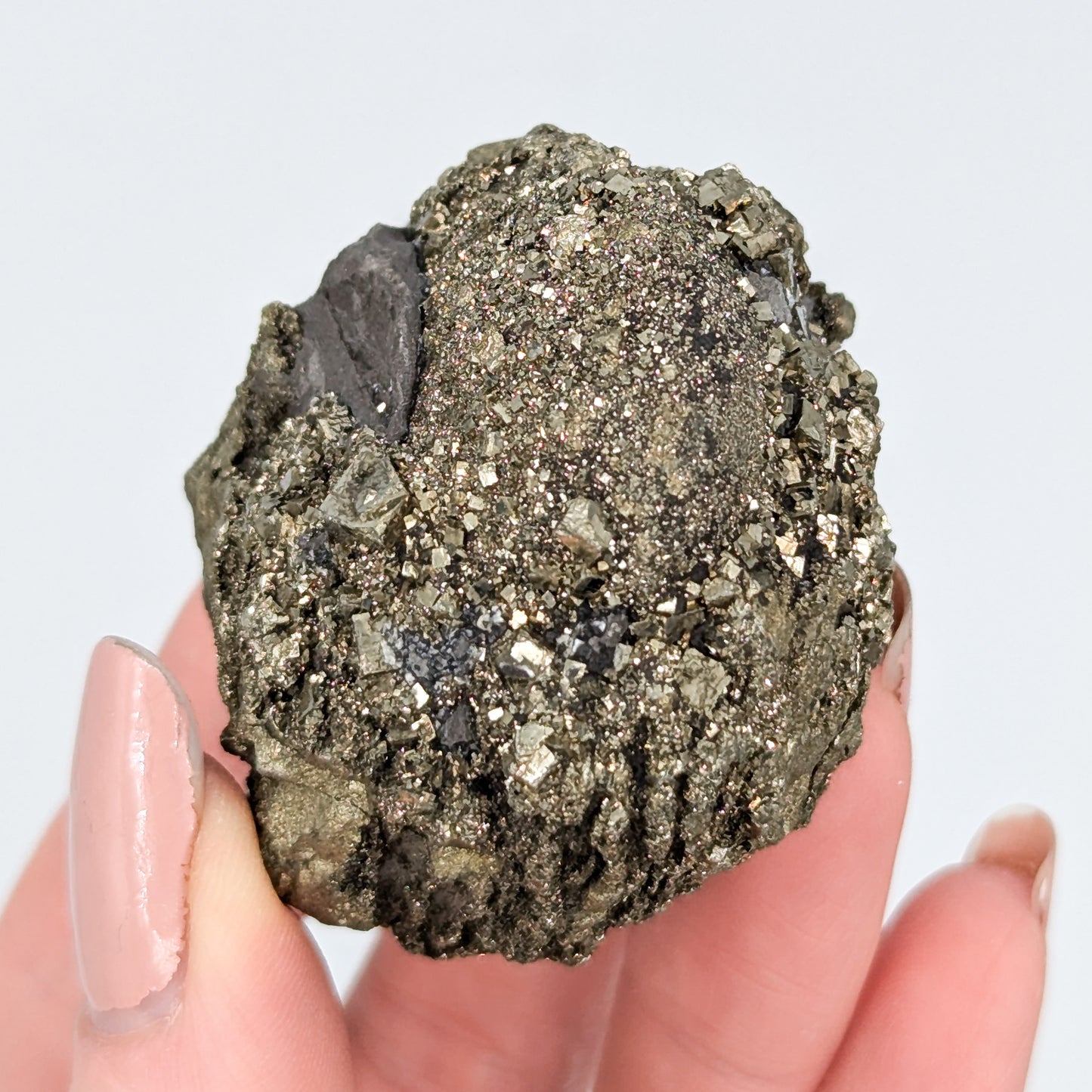 Pyrite Nodule B
