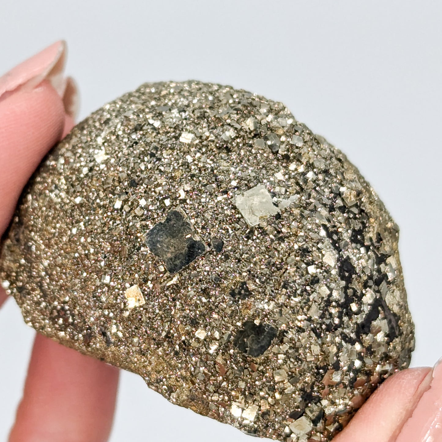 Pyrite Nodule I