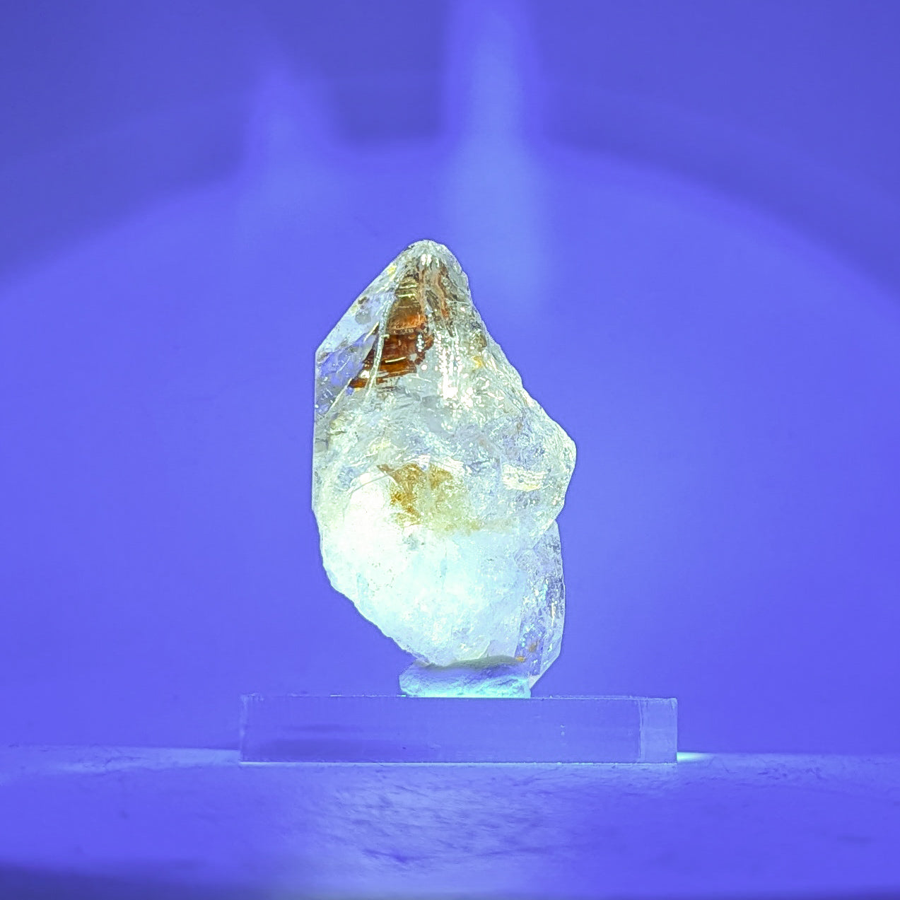Firefly Petroleum Quartz F