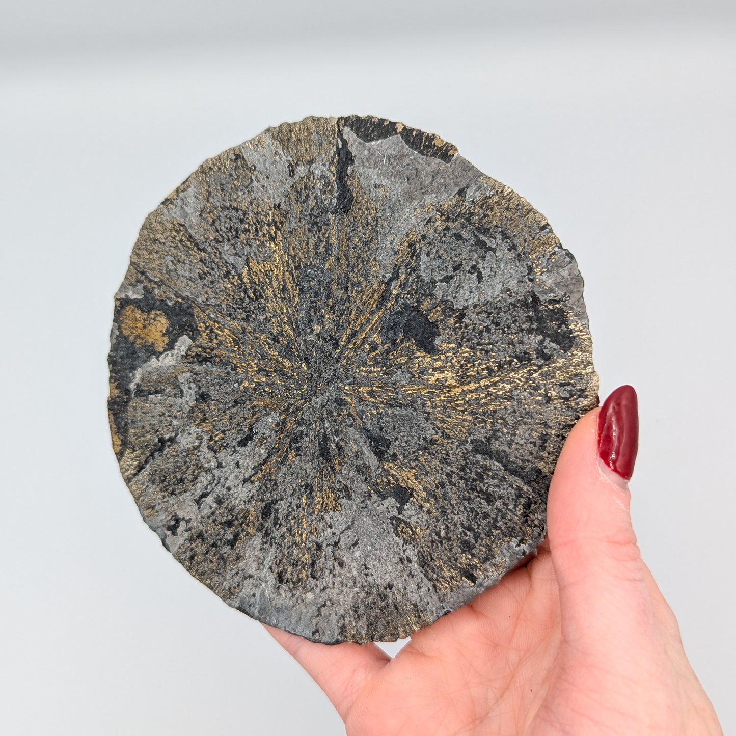 Pyrite Sun N