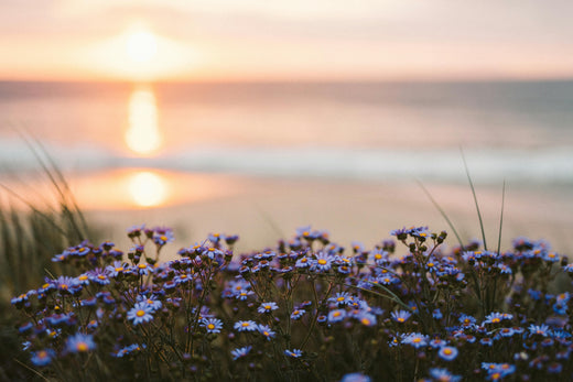 Aquamarine Energy for March Astrology