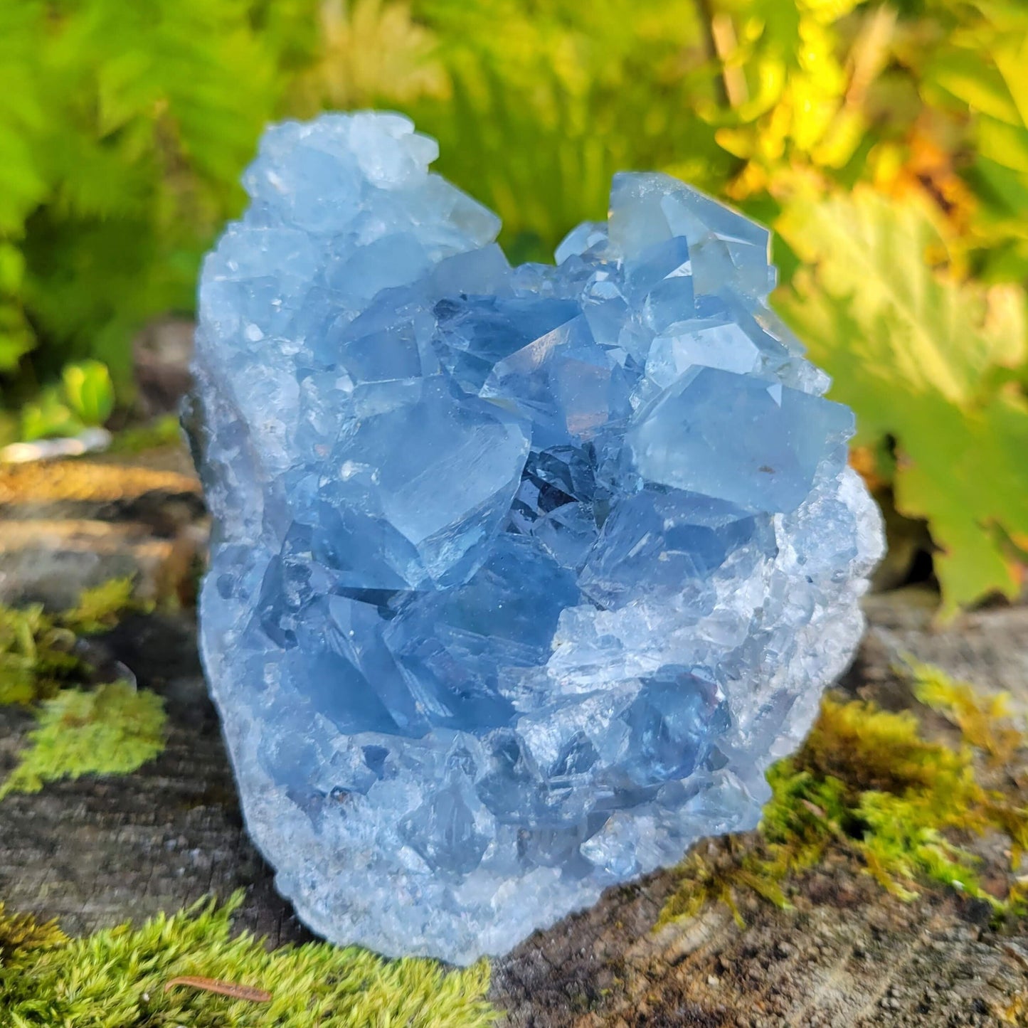 Celestite Raw #A