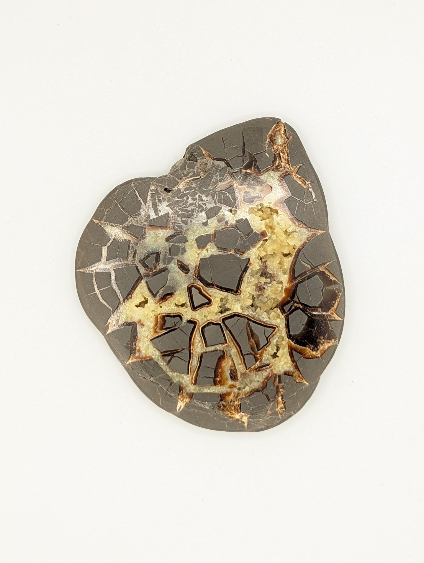 Septarian Slab