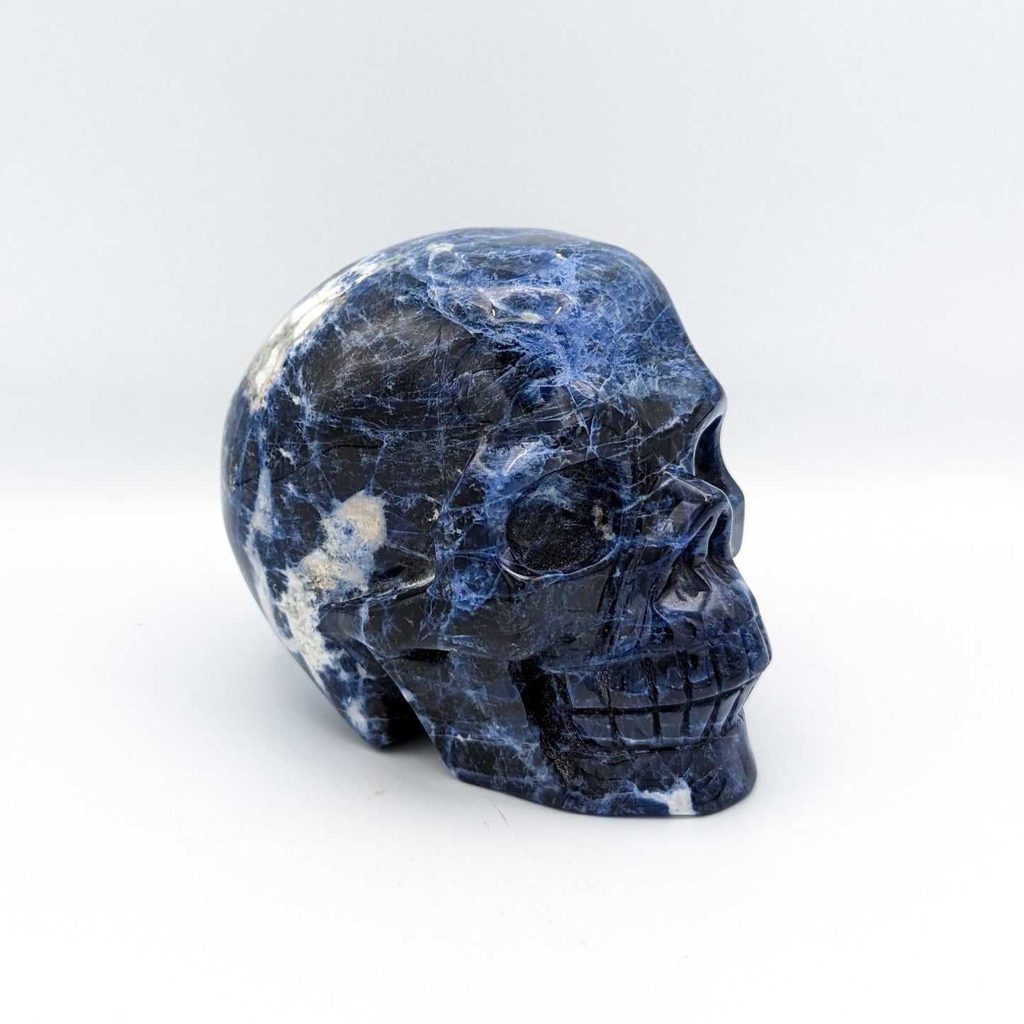 Sodalite Skull