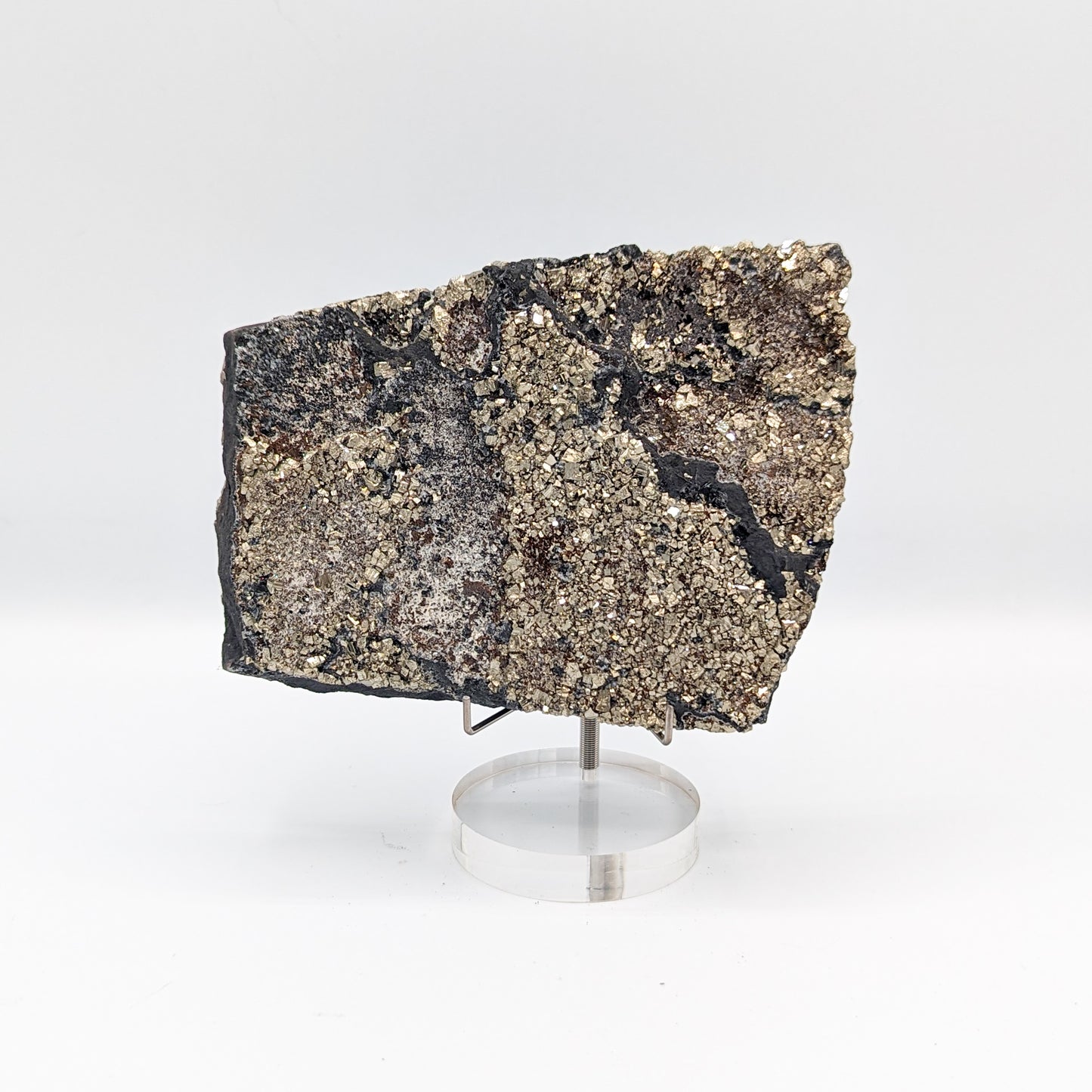 Pyrite on Shungite