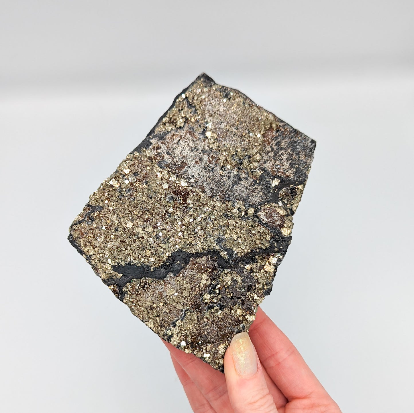 Pyrite on Shungite