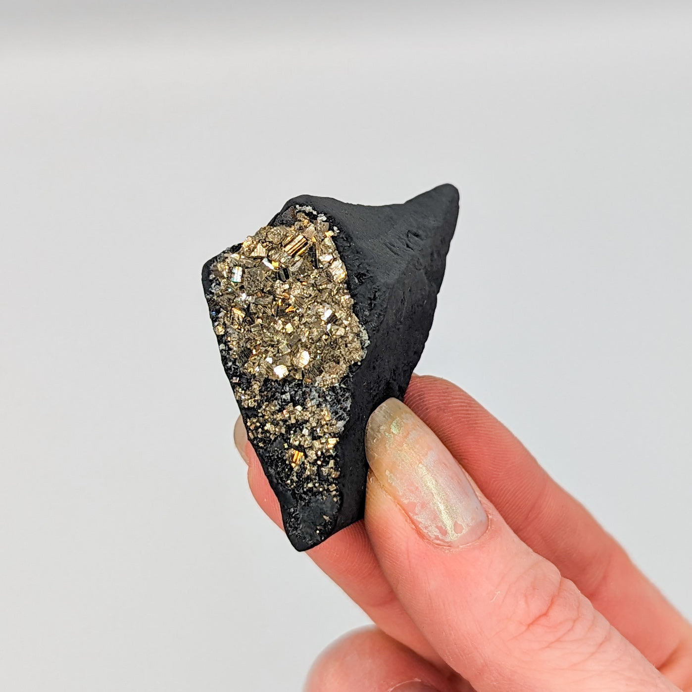 Pyrite on Shungite