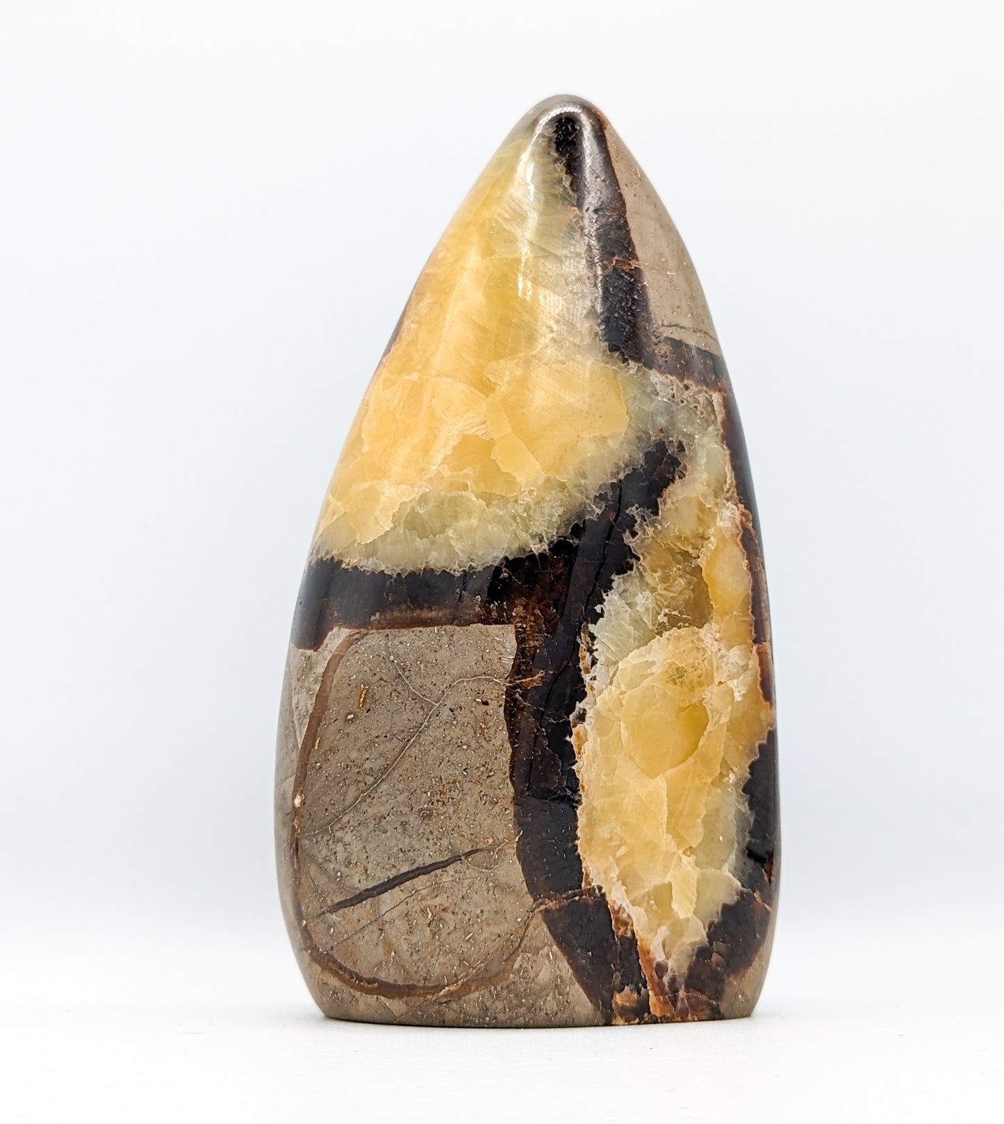 Septarian Freeform