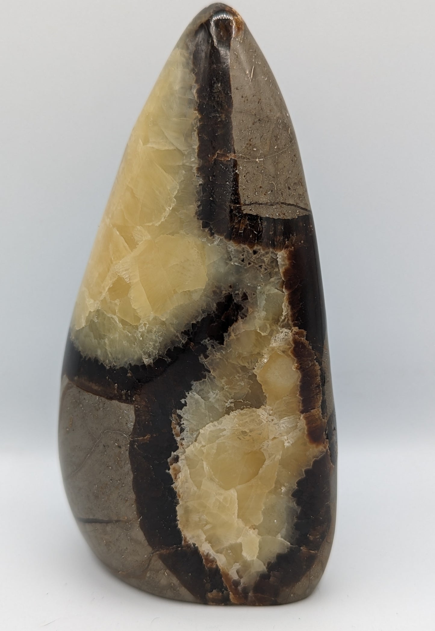 Septarian Freeform