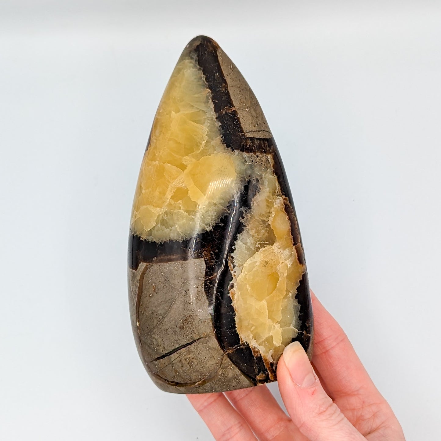 Septarian Freeform