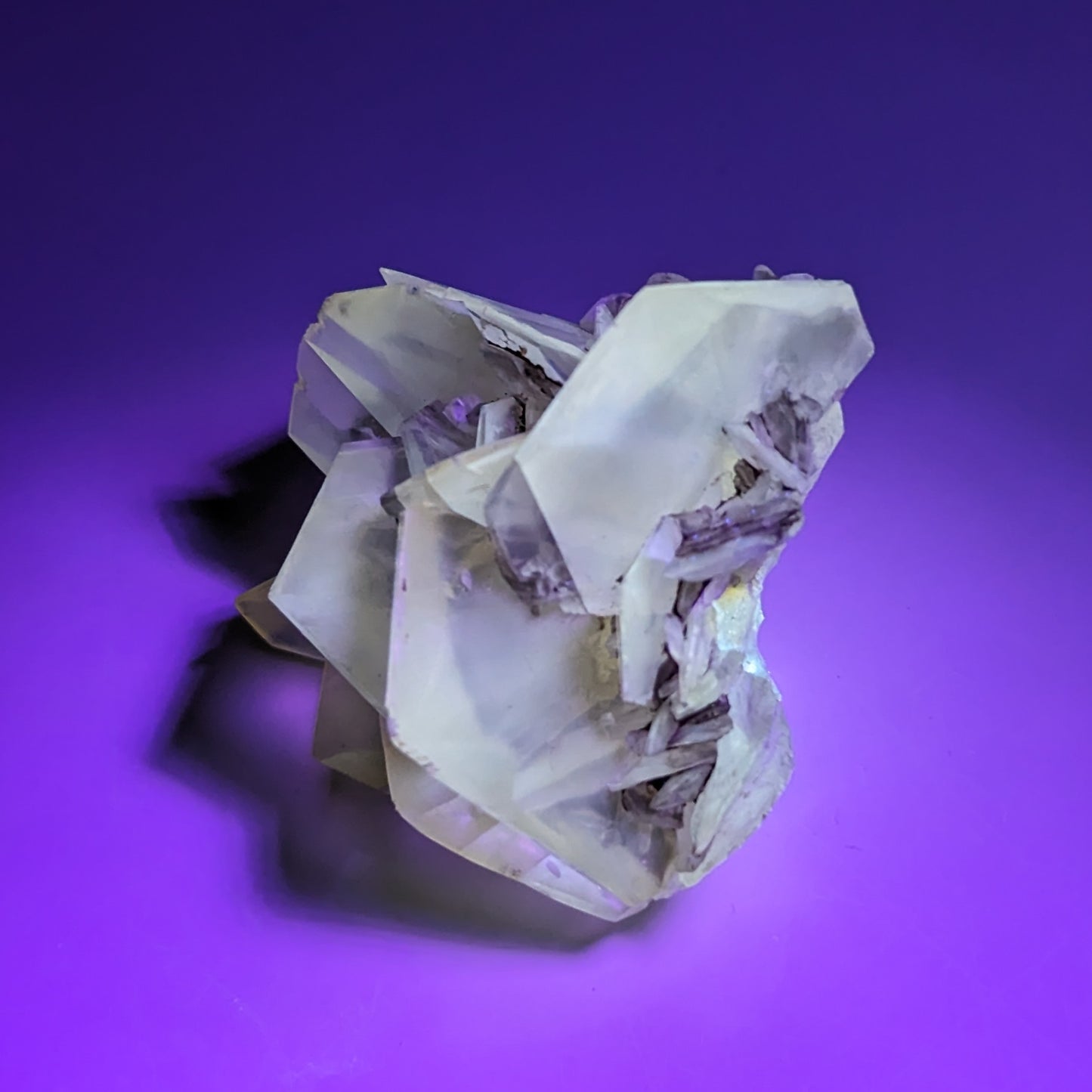 Fluorescent Gypsum Selenite under Black UV Light, Manitoba, Canada, Selenite For Sale Online