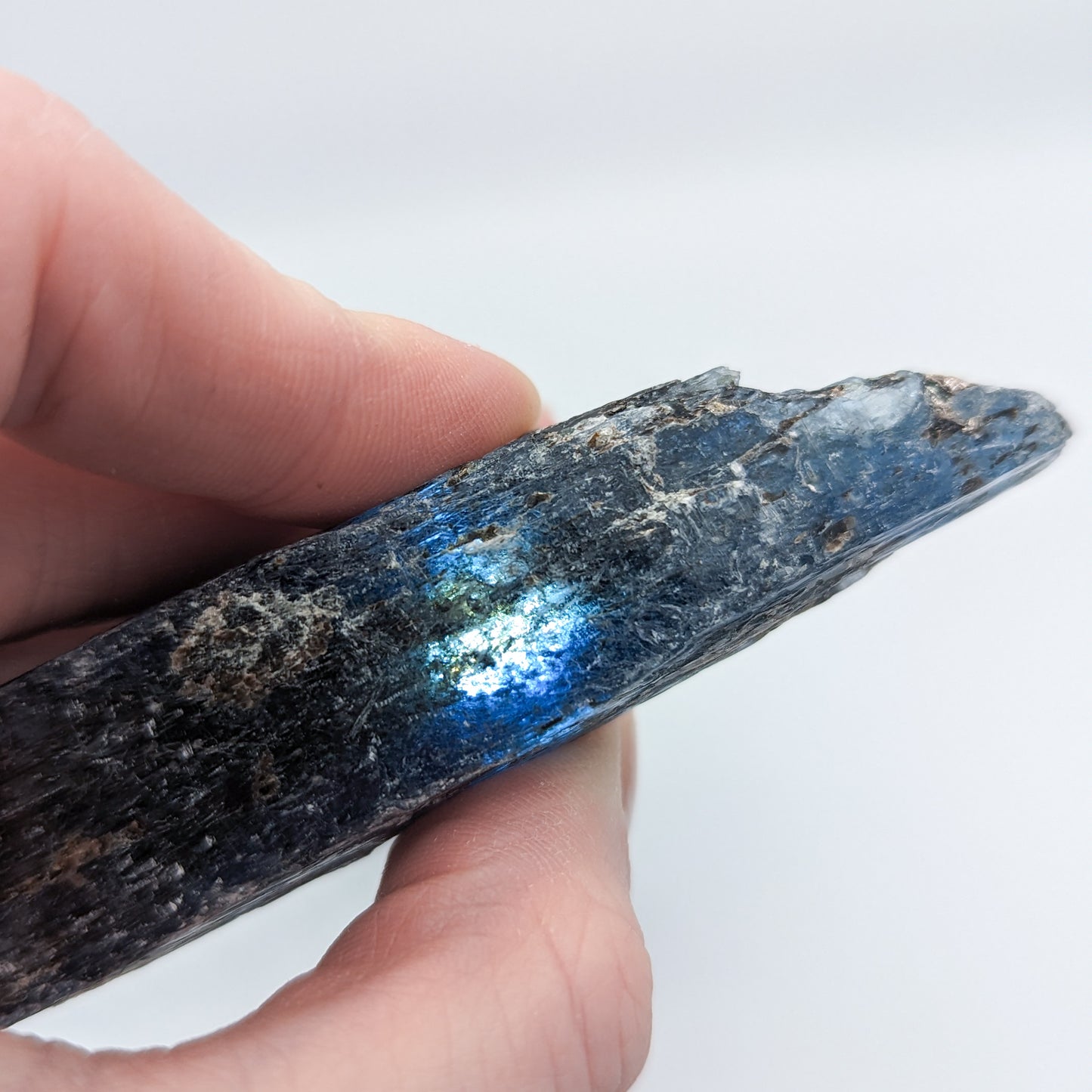 Indigo Kyanite with Black Mica #A