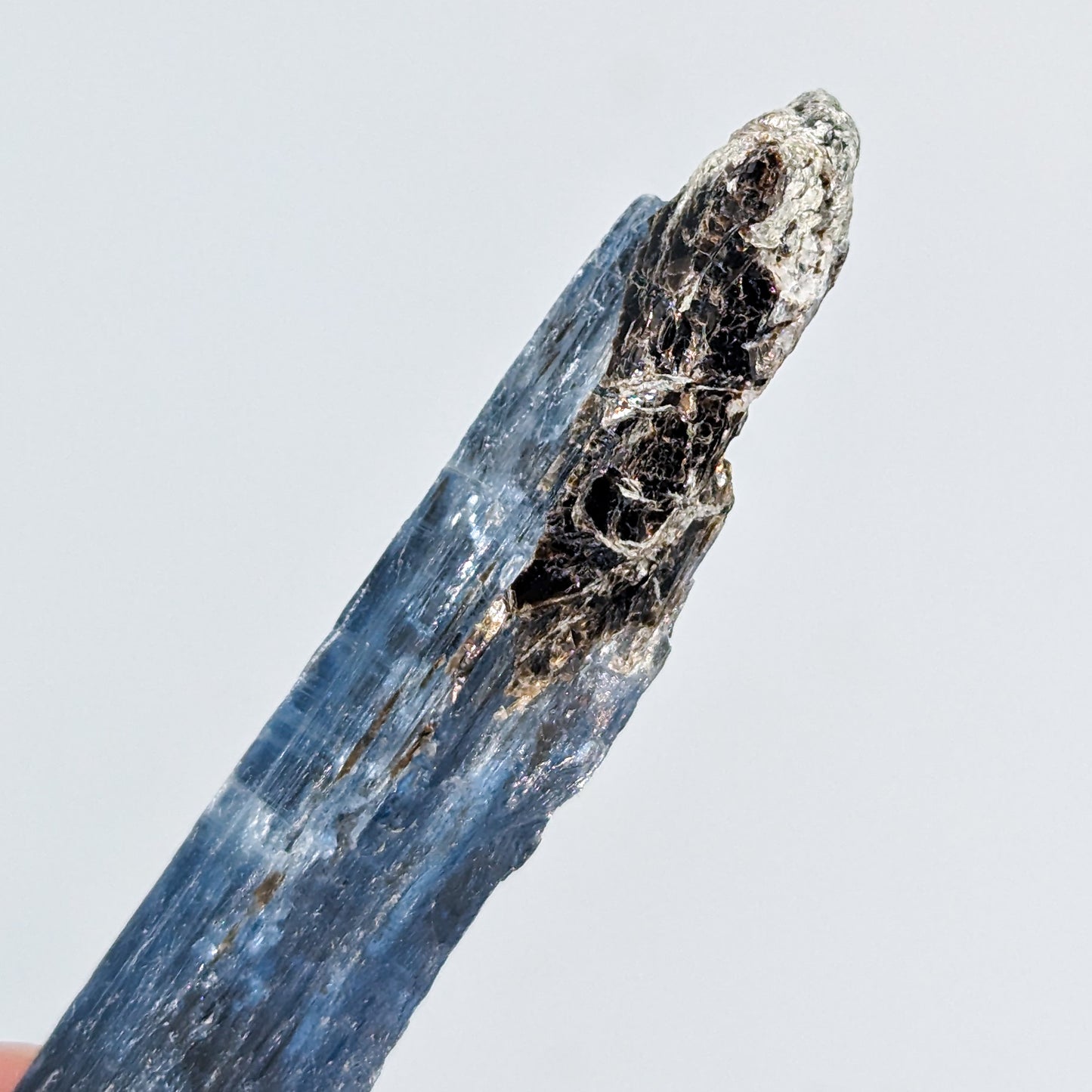 Indigo Kyanite with Black Mica (Intuitively Selected)