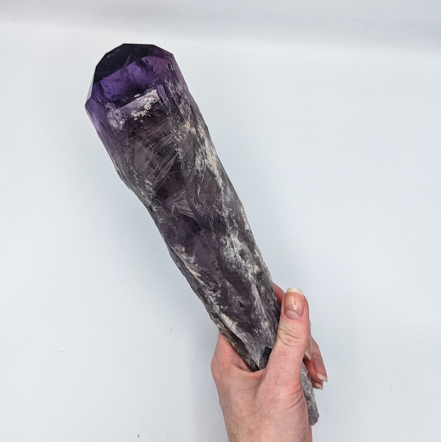 Amethyst Root Large Style B