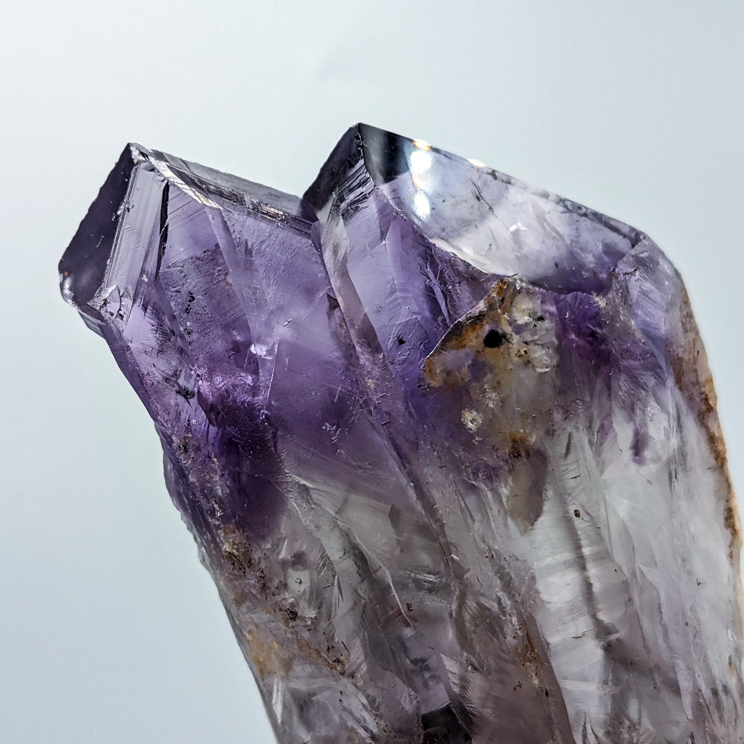 Amethyst Root Large Style F