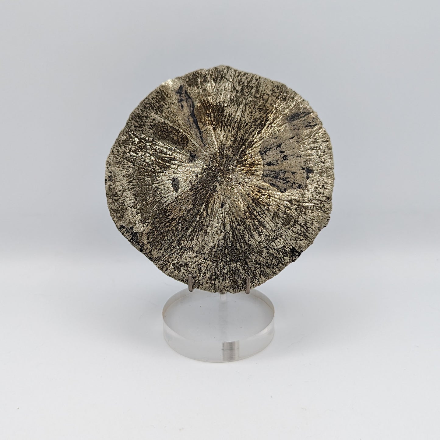 Pyrite Sun D