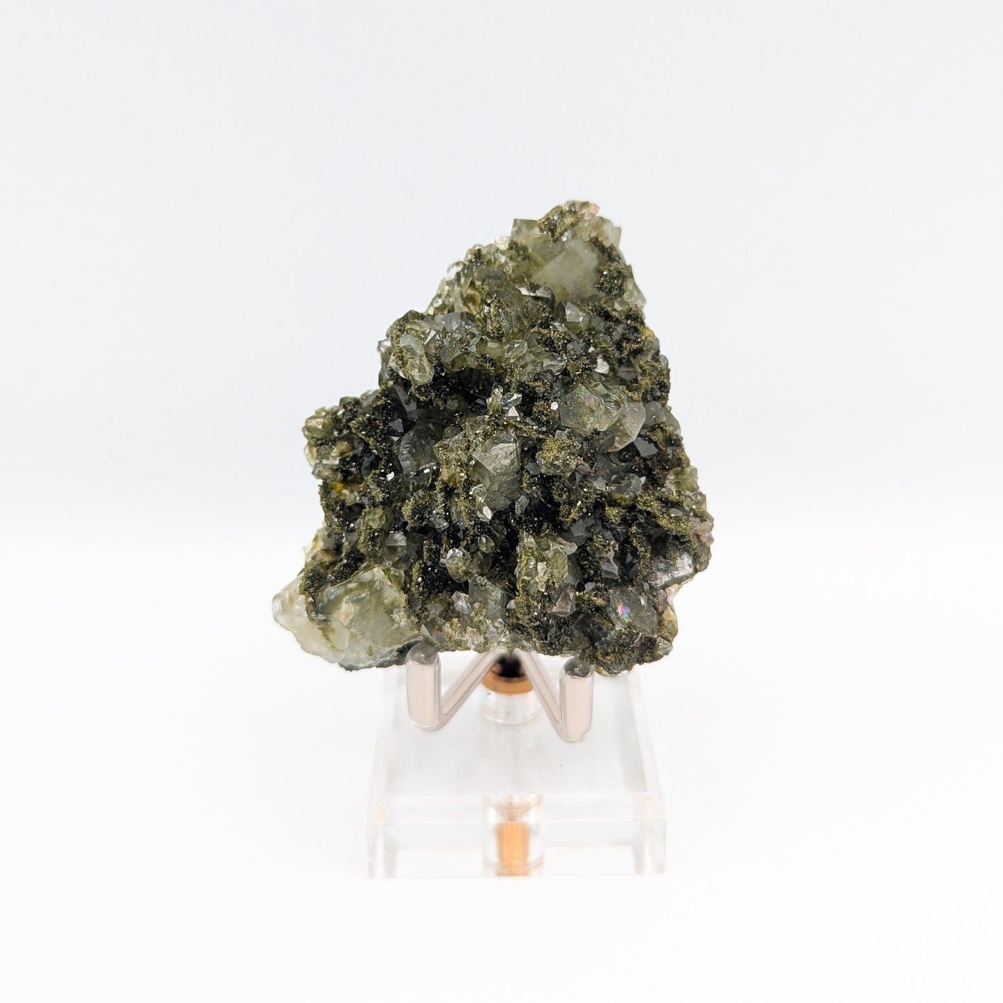 Forest Quartz with Epidote C