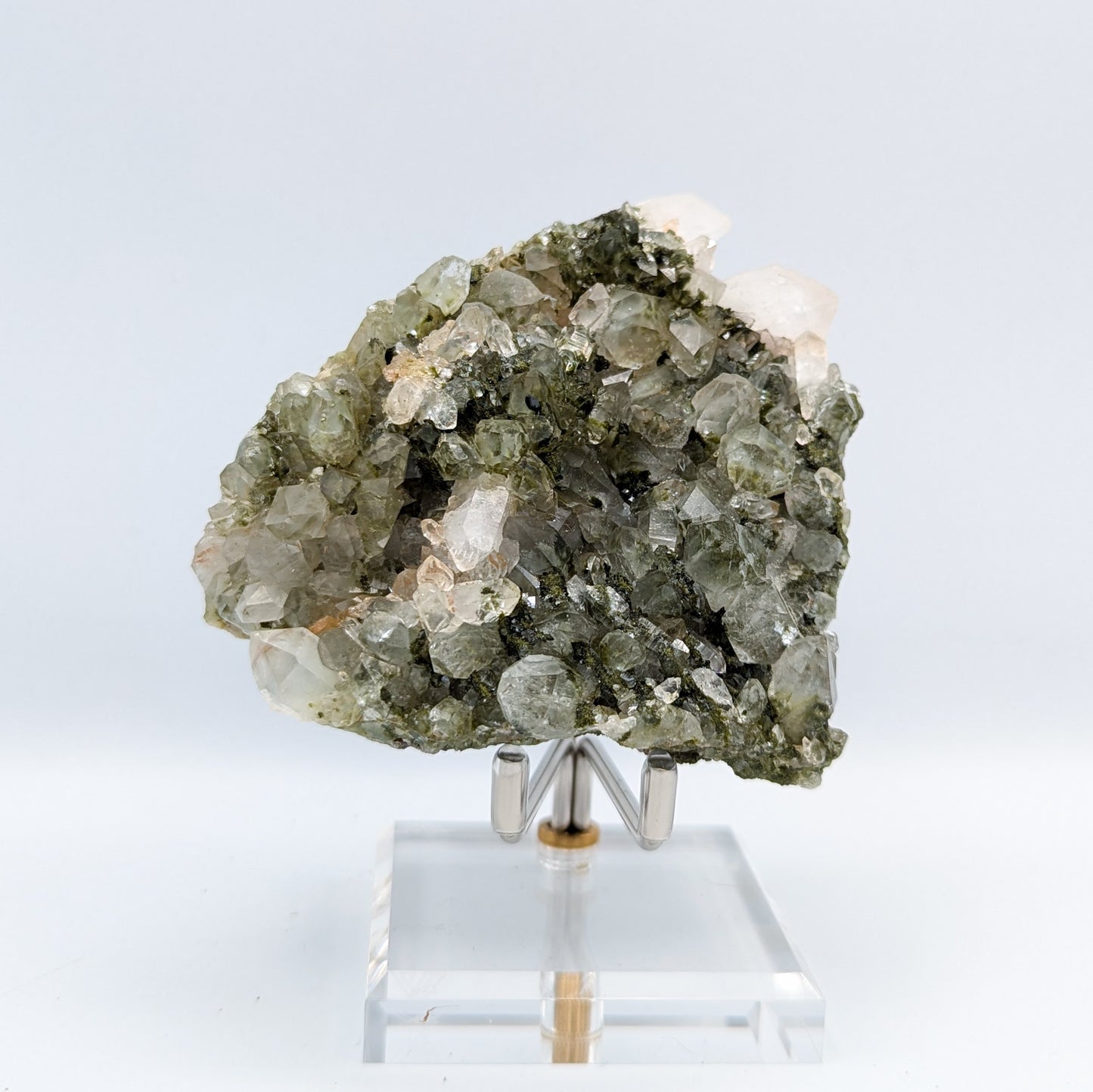 Forest Quartz with Epidote G