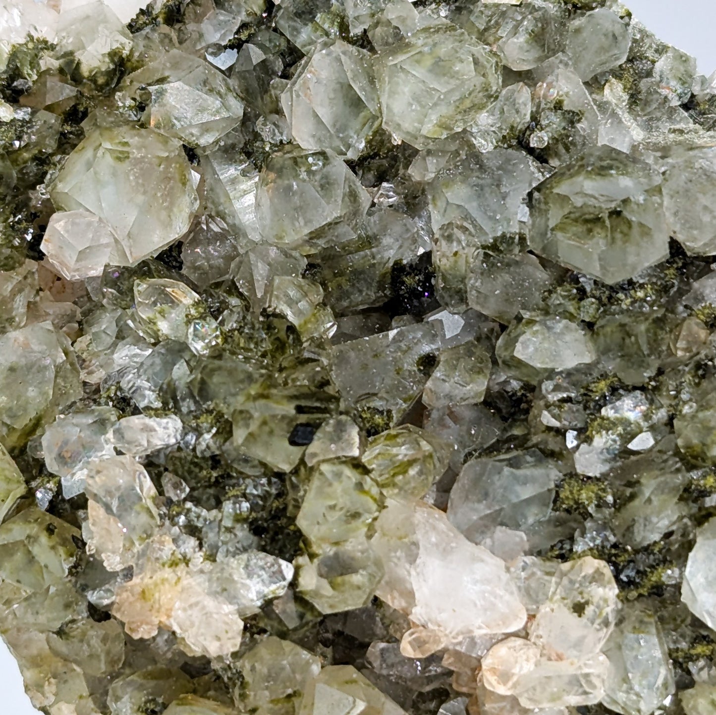 Forest Quartz with Epidote G