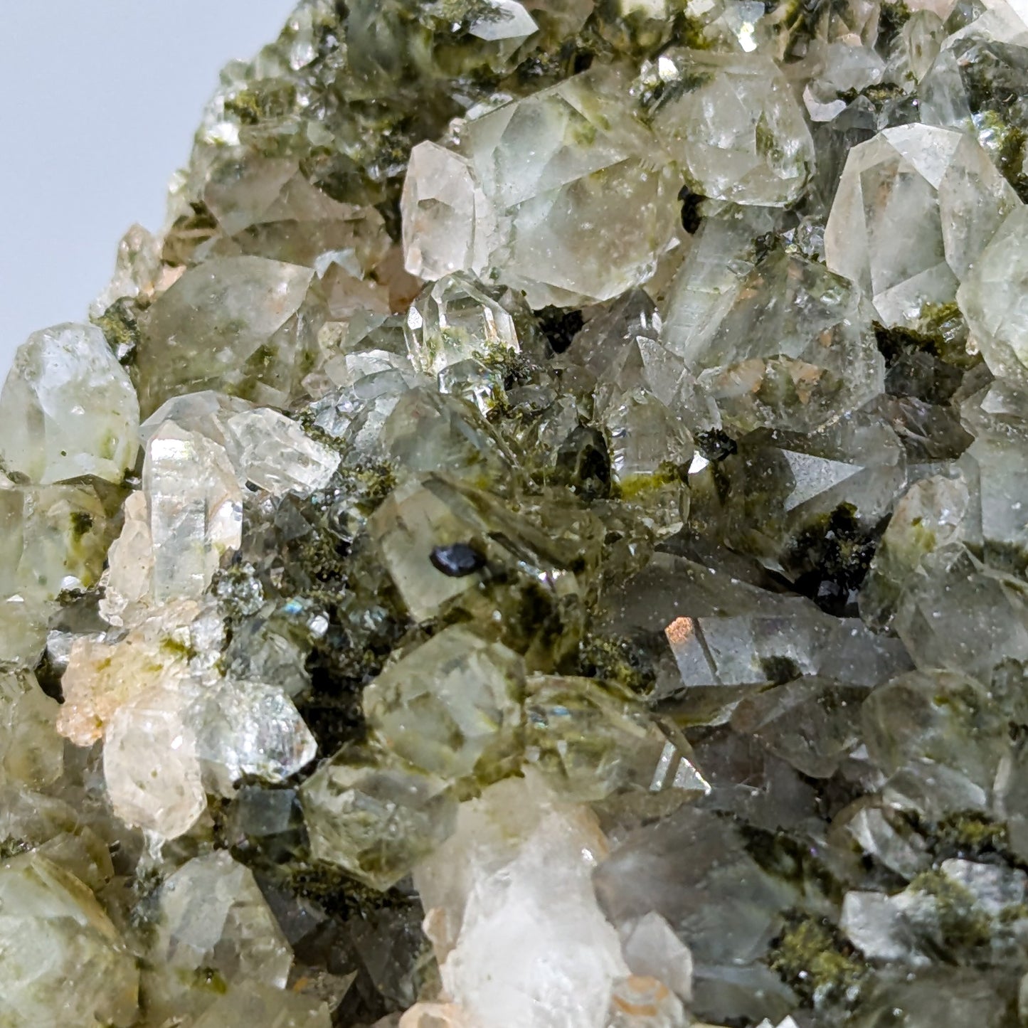 Forest Quartz with Epidote G