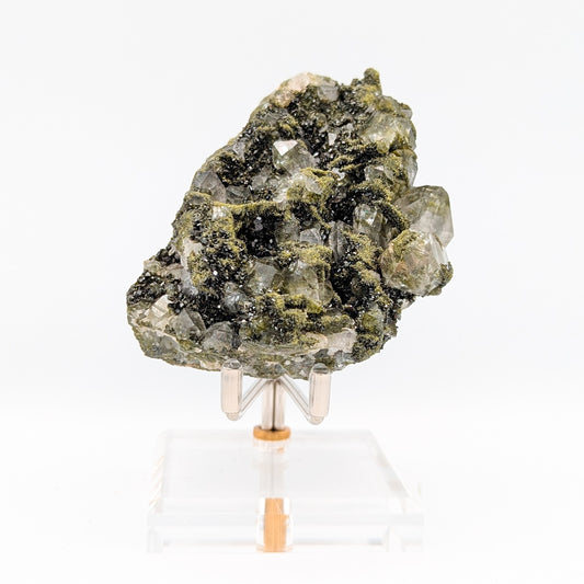 Forest Quartz with Epidote H