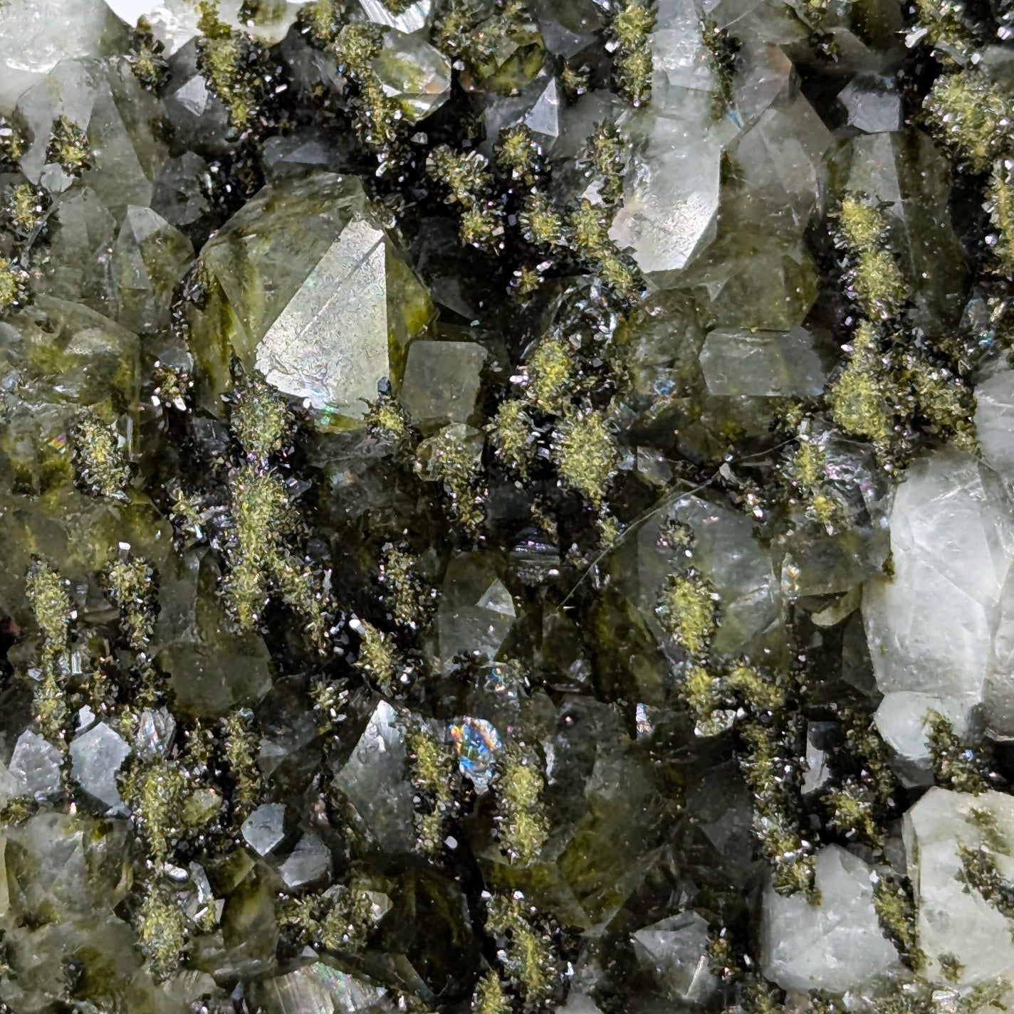 Forest Quartz with Epidote L