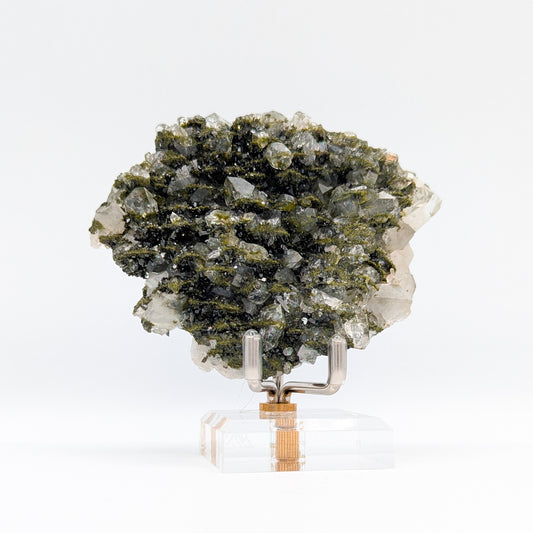 Forest Quartz with Epidote N