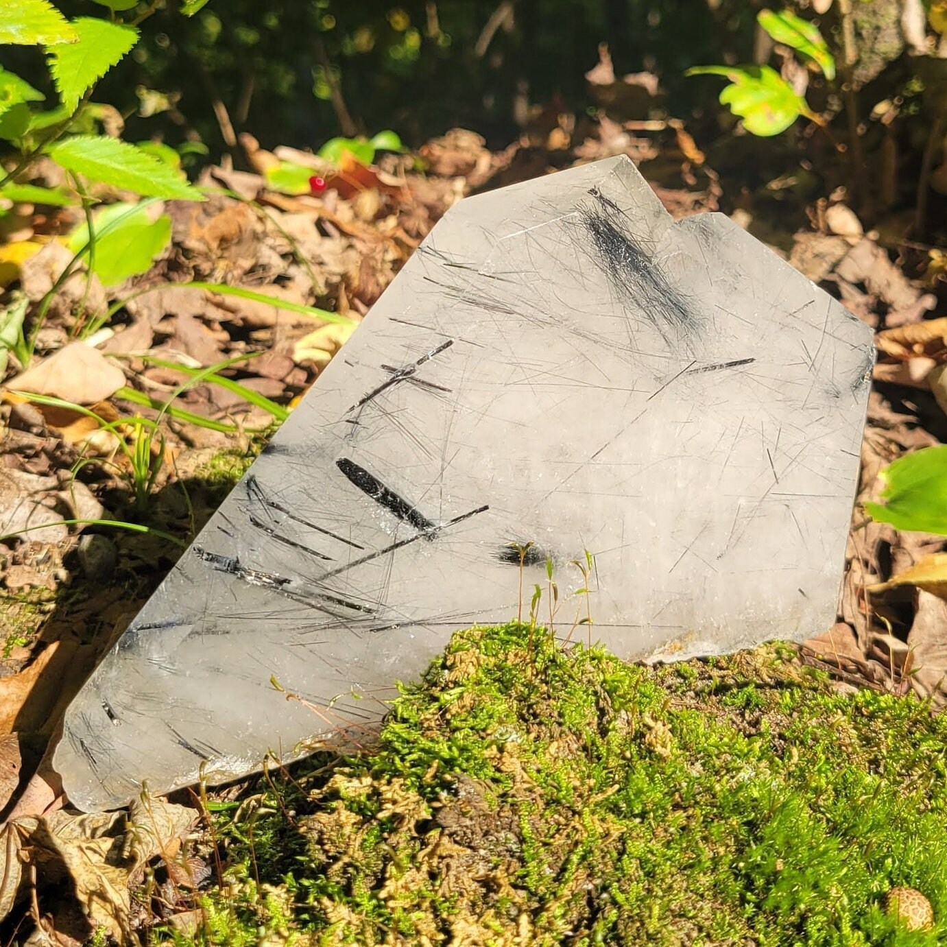 Black Tourmaline Rutilated Quartz Slab