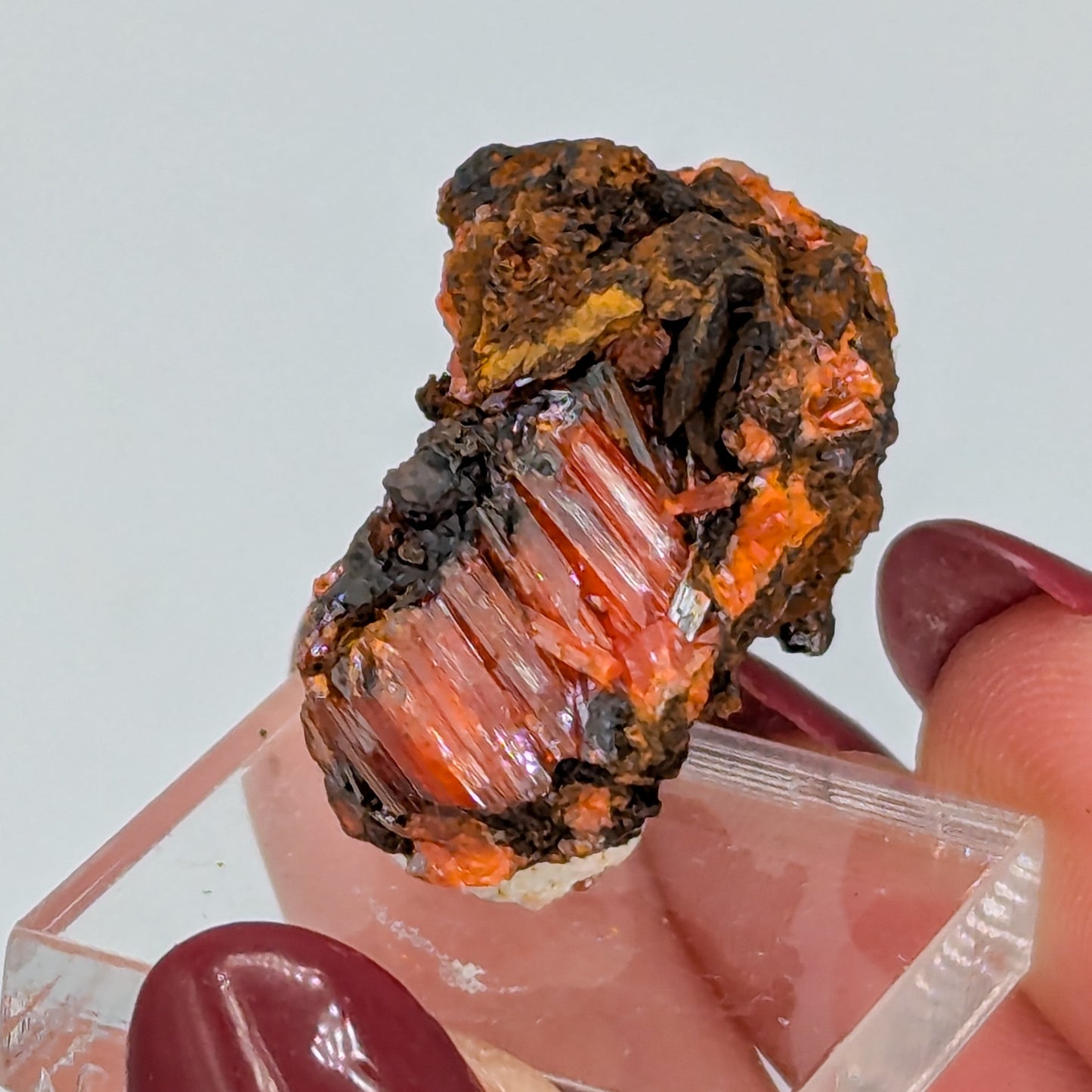 Crocoite Specimen D