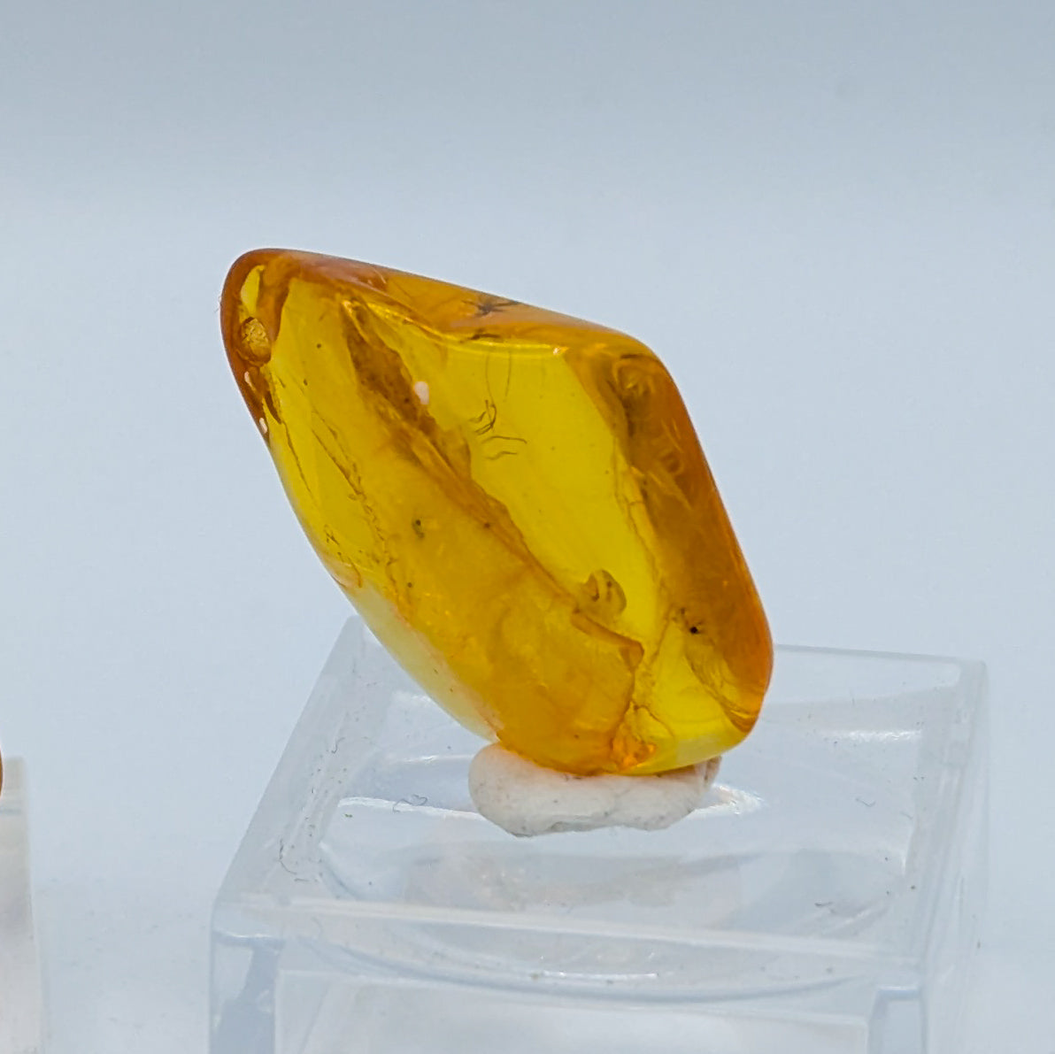 Amber with Insect Inclusions (Intuitively Selected)