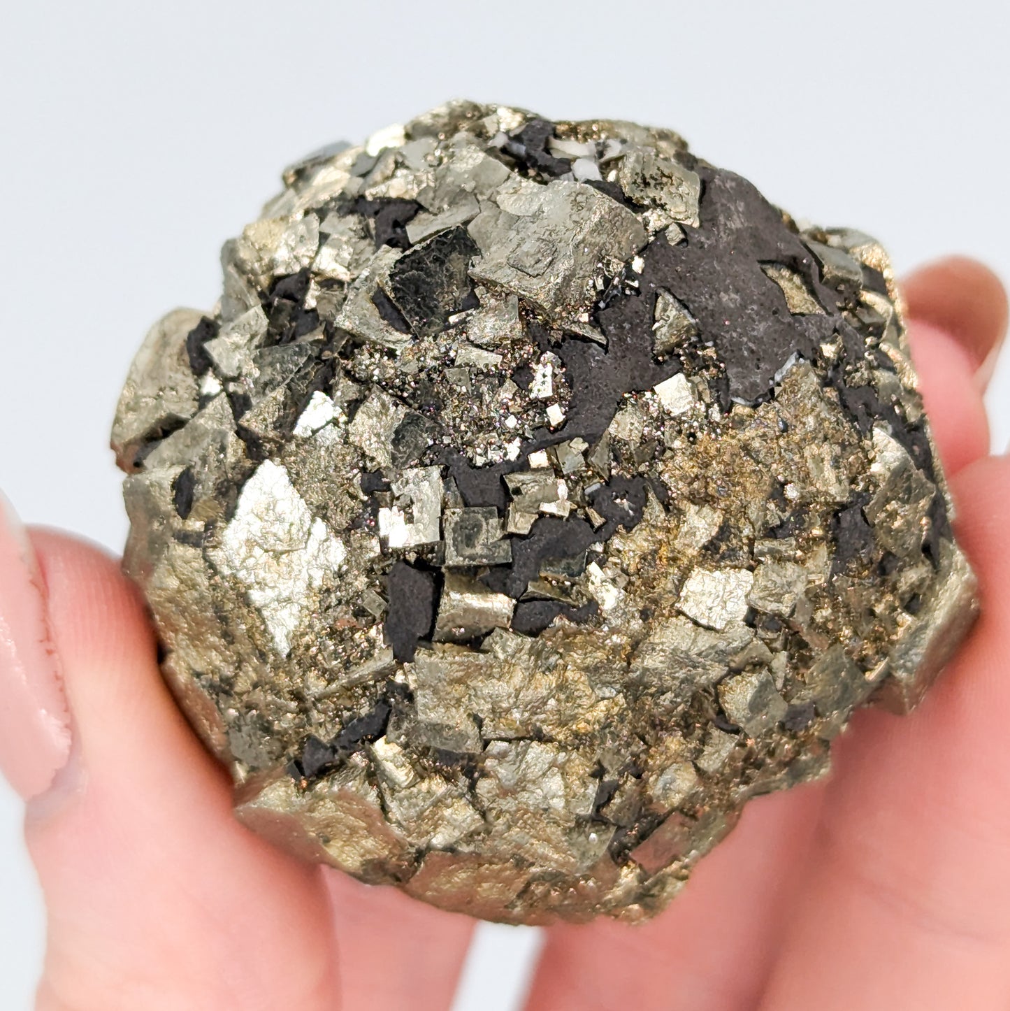 Pyrite Nodule M