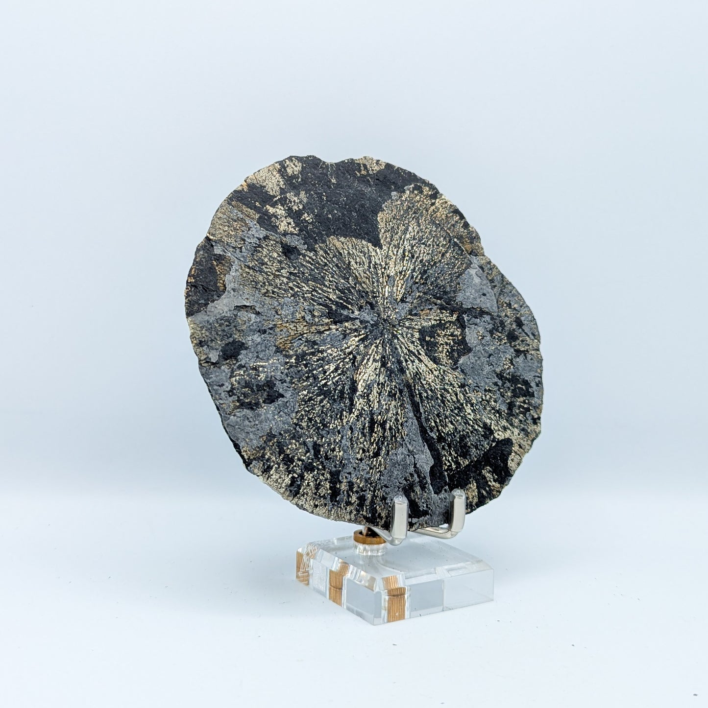 Pyrite Sun P