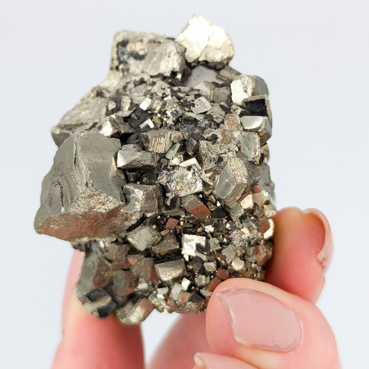 Pyrite Nodule Q