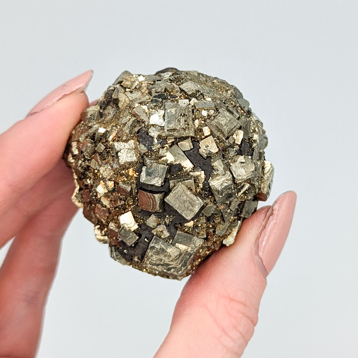 Pyrite Nodule M