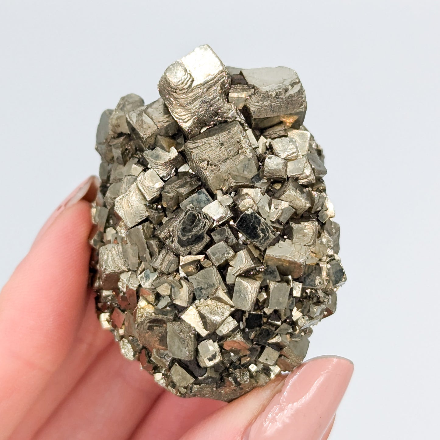 Pyrite Nodule Q