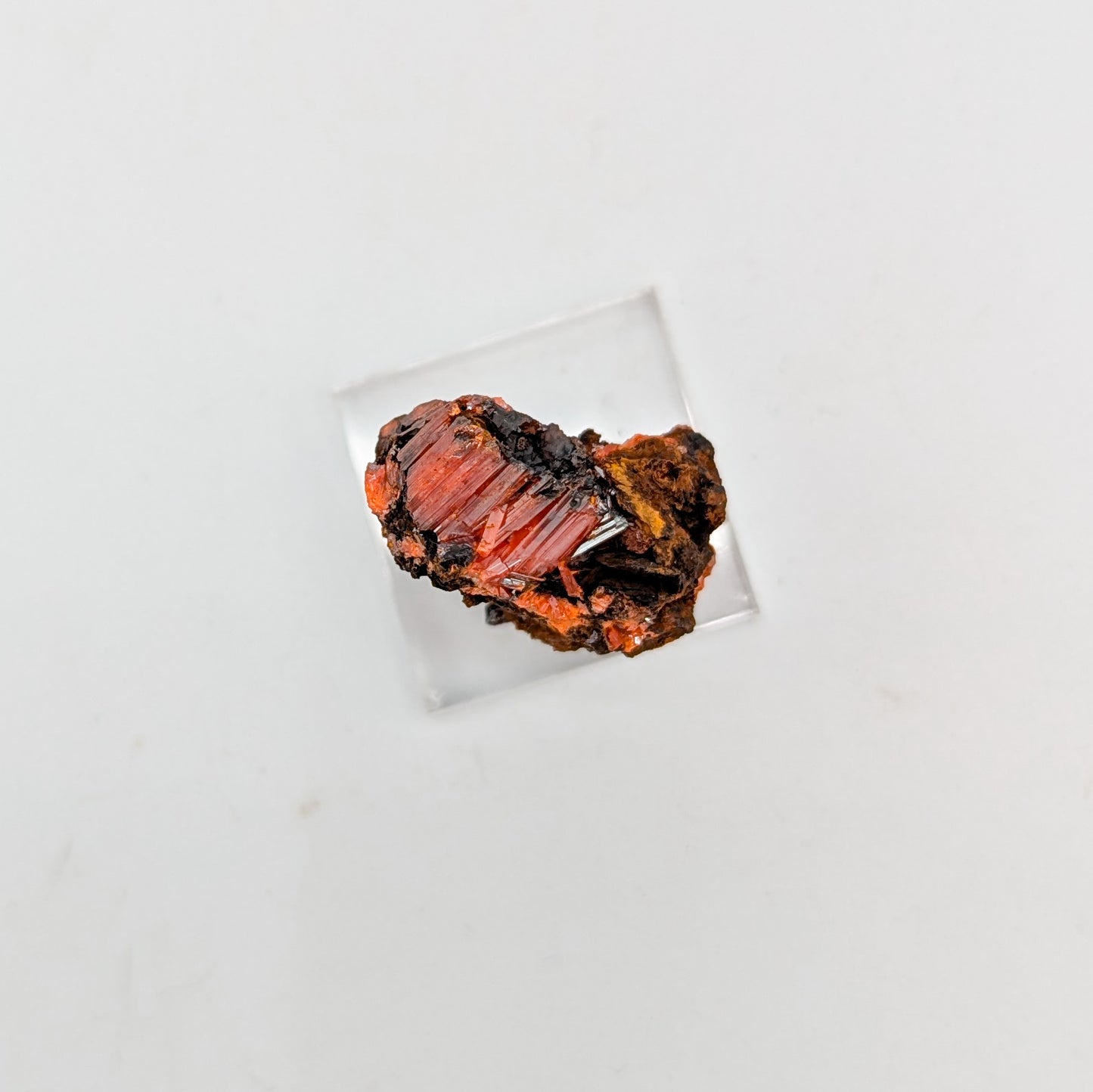 Crocoite Specimen D