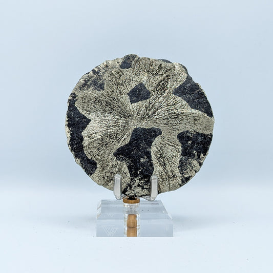 Pyrite Sun J