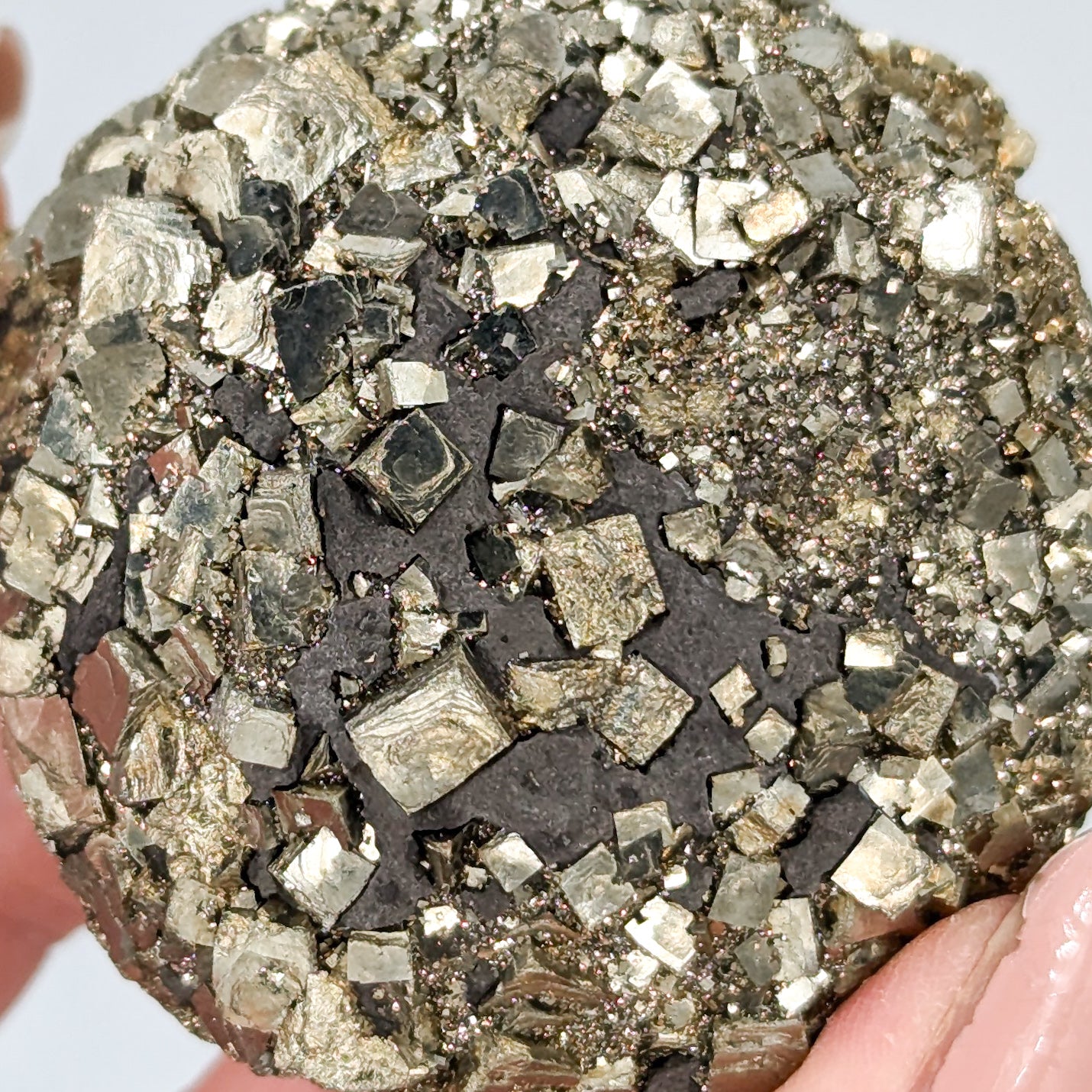 Pyrite Nodule P