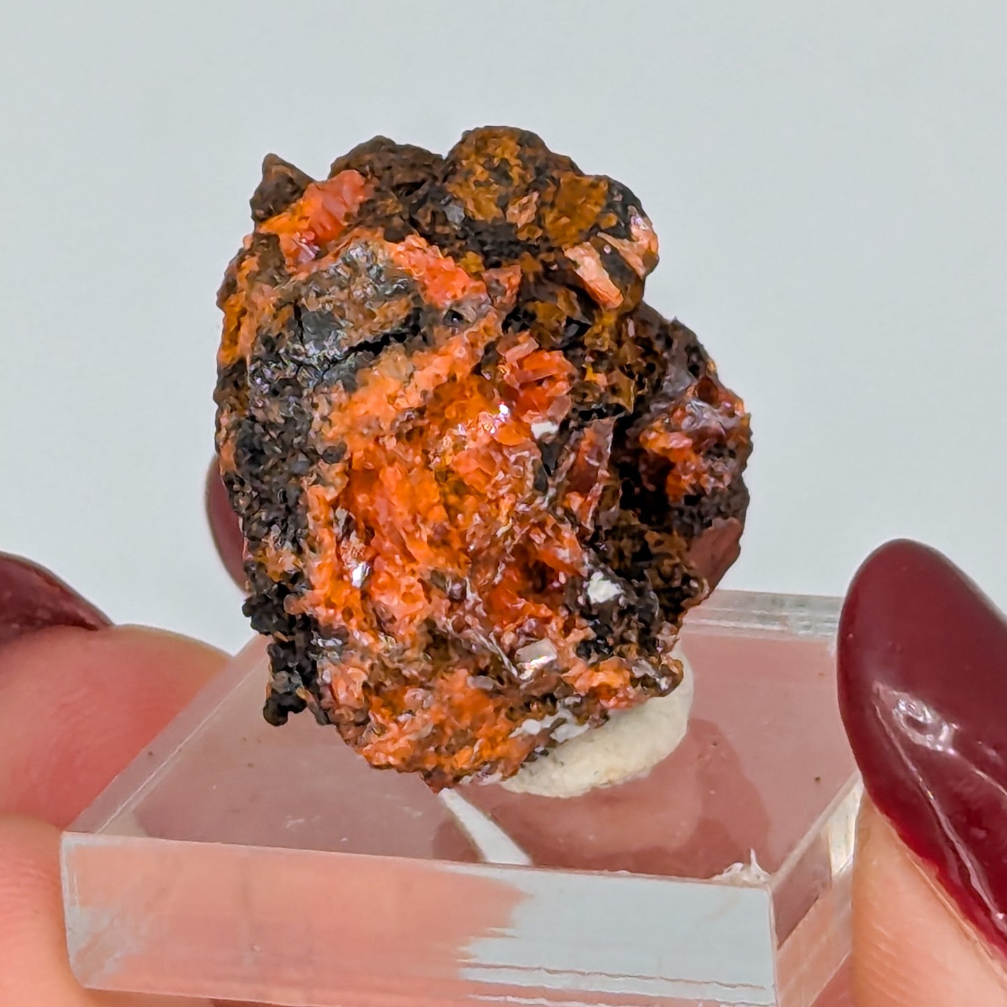 Crocoite Specimen D